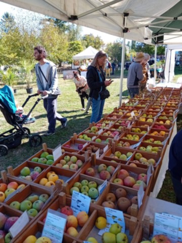 Marché Châtillon-sur-Chalaronne