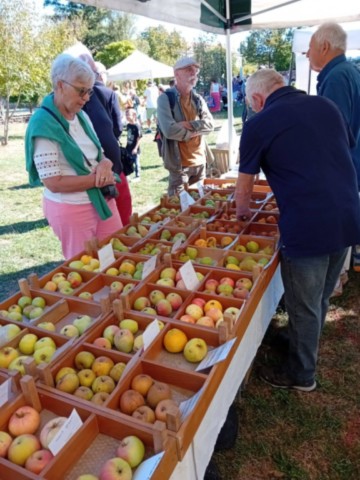 Marché Châtillon-sur-Chalaronne
