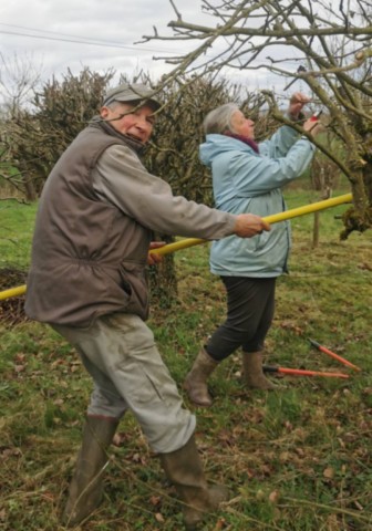 Taille à Curciat-Dongalon