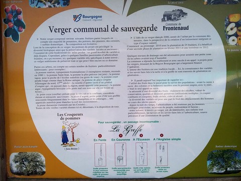 Verger de Frontenaud