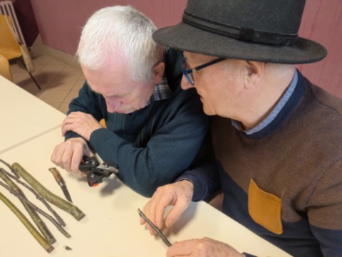 Initiation à la greffe