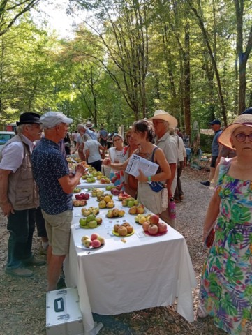 Fête biodiversité Pierre-de-Bresse