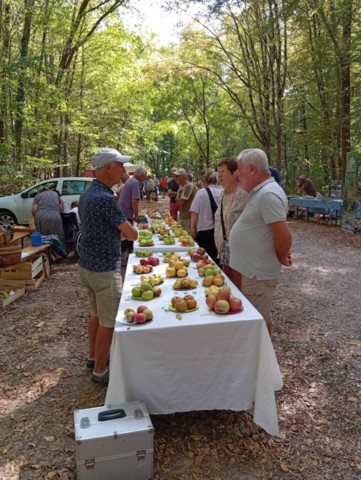 Fête biodiversité Pierre-de-Bresse