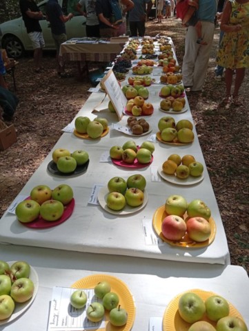 Fête biodiversité Pierre-de-Bresse